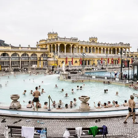 Little Italy Bronx * Budapest